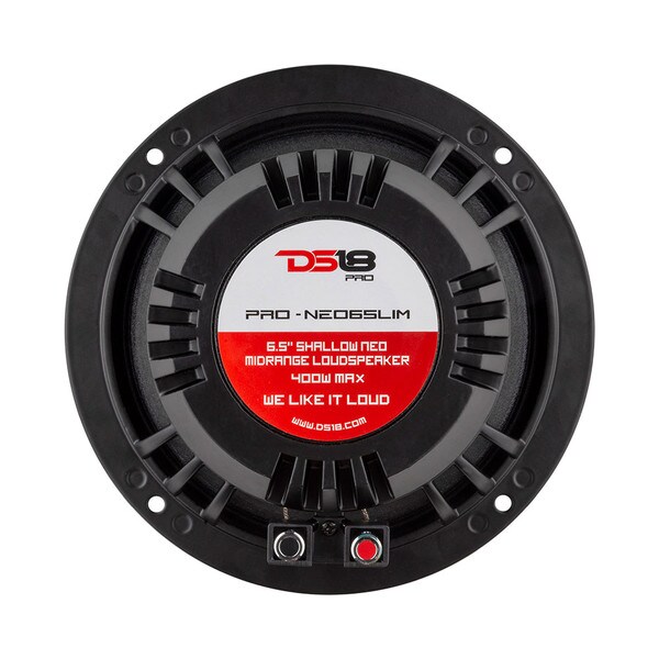 Main product image for DS18 PRO-NEO6SLIM 6-1/2" Professional Neodymium Midrange Speaker 294-8056